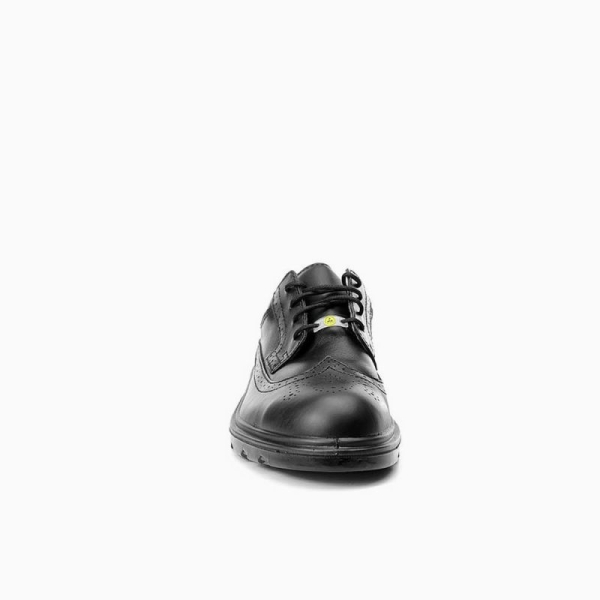ELTEN-S2-Sicherheits-Arbeits-Berufs-Schuhe, Halbschuhe, OFFICER ESD, schwarz