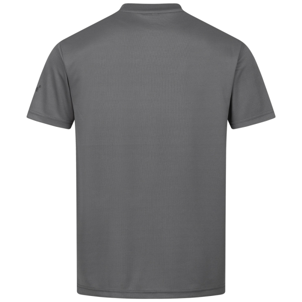 F-Elysee Funktions-T-Shirt *PIPAONA*, grau