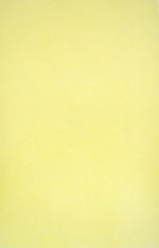 AMPRI-Hygiene, Tray-Filterpapier, 28 x 36 cm, gelb, VE =  1 Pkg. á 250 Stück