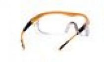 BOLLE-PSA-Augenschutz, Augen-Schutz-Brille, TARGA-TAPSI