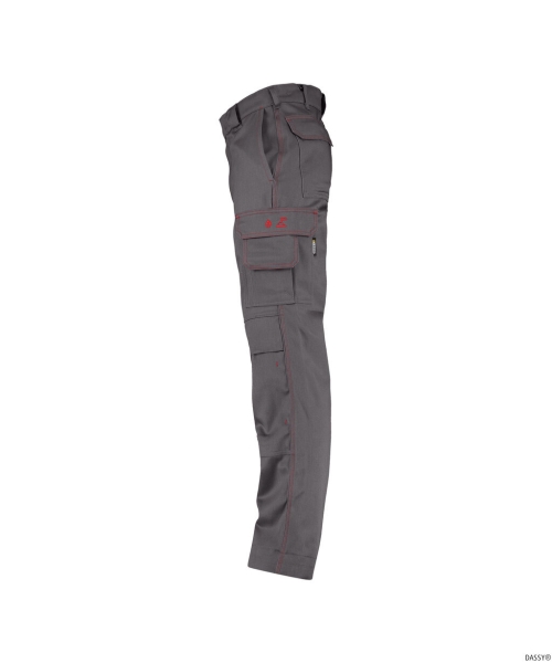 DASSY-Flammhemmende Bundhose ARIZONA , grau