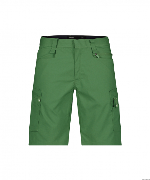 DASSY-Arbeitsshorts ZION, 250 g/m, ulmengrn