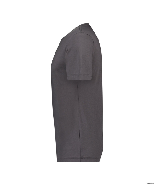 DASSY-T-Shirt OSCAR,  grau