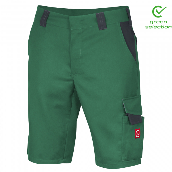 Teamdress-Shorts ecoRover, grn/schwarz/grau