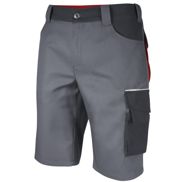 Teamdress-Shorts Elements, grau/dunkelgrau/rot