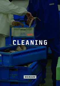 Ocean cleaning 2023 Katalog